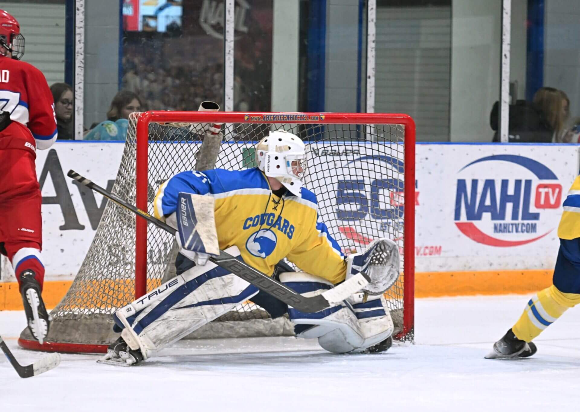 aberdeen hockey goalie